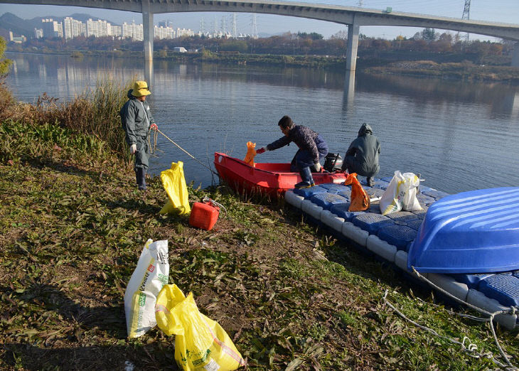 철새 먹이주기 활동 모습