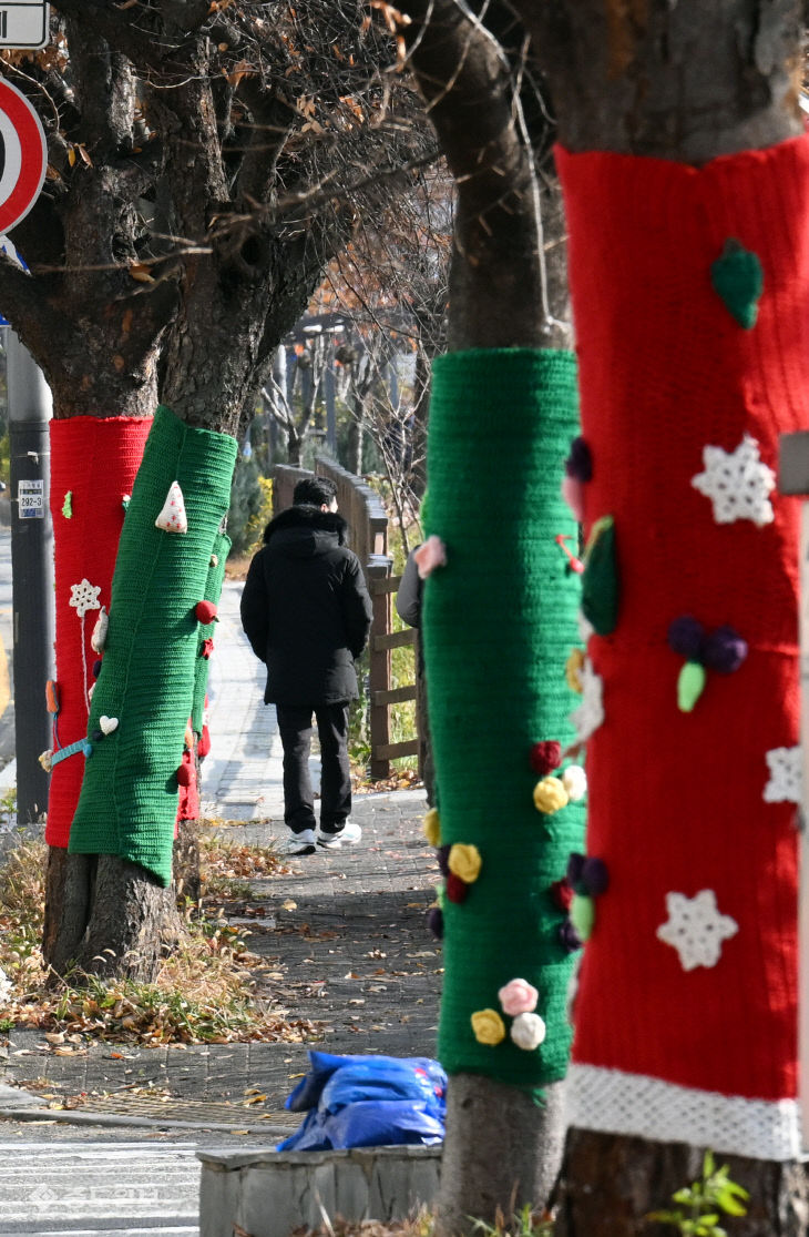 20251208-가로수 겨울나기3