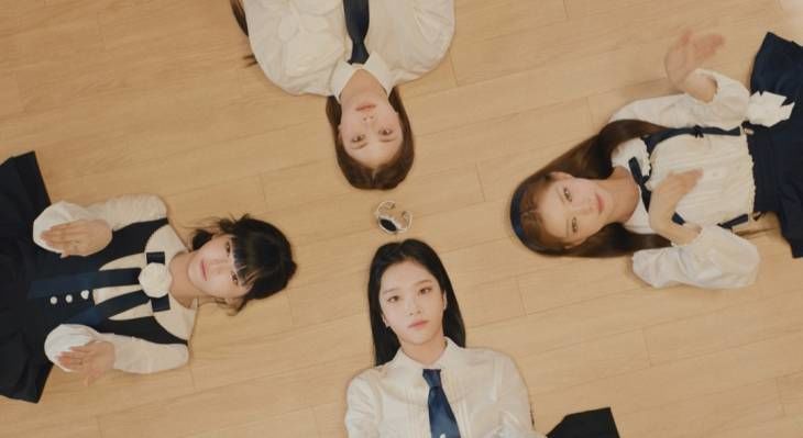 코스모시 사진(1)