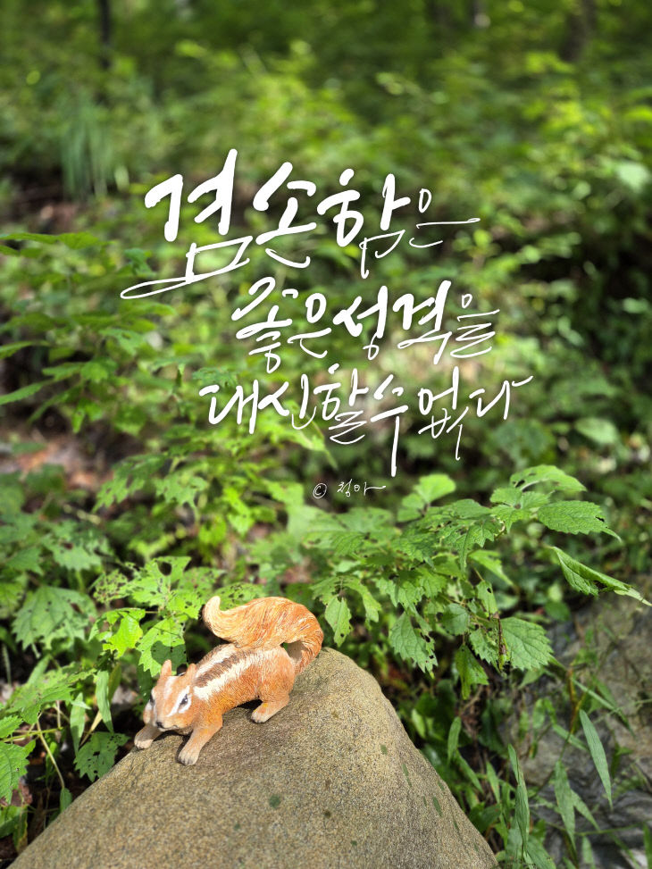 KakaoTalk_20251202_084703792