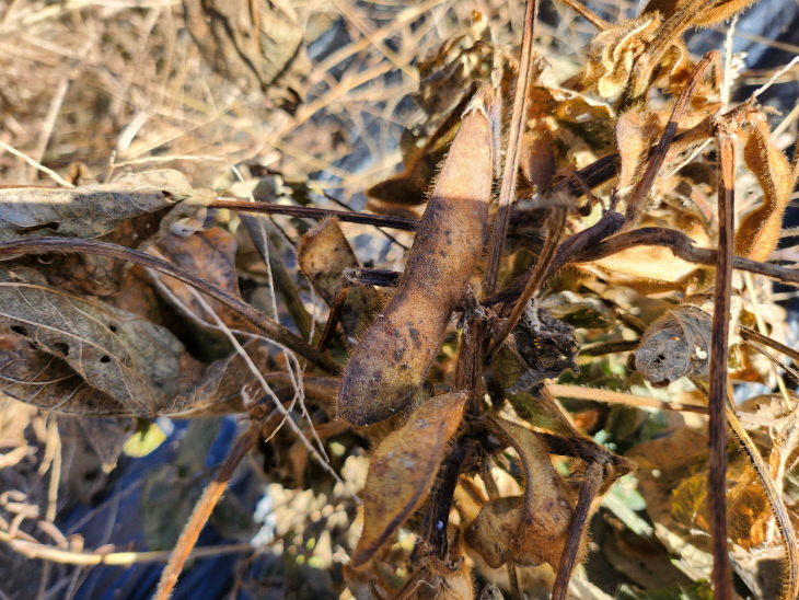 청주시, 농업재해 재난지원금 5억8천만원 지급.
