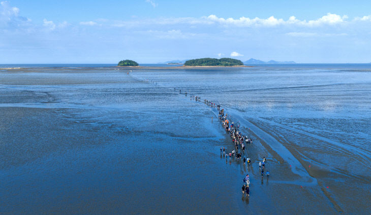 (자료사진) 고창갯벌 전경