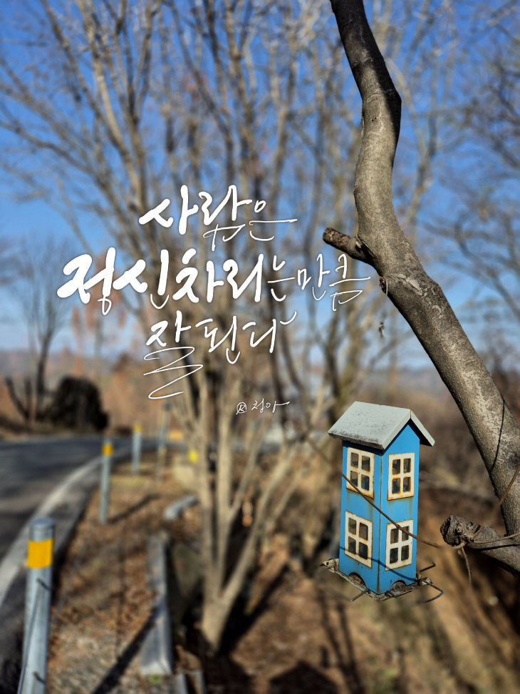 KakaoTalk_20251202_084752642