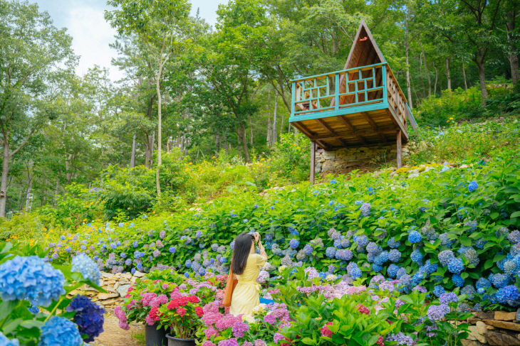 8-포레스트수목원 (1)