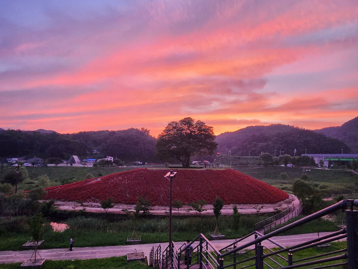 1-2청령포원 개원