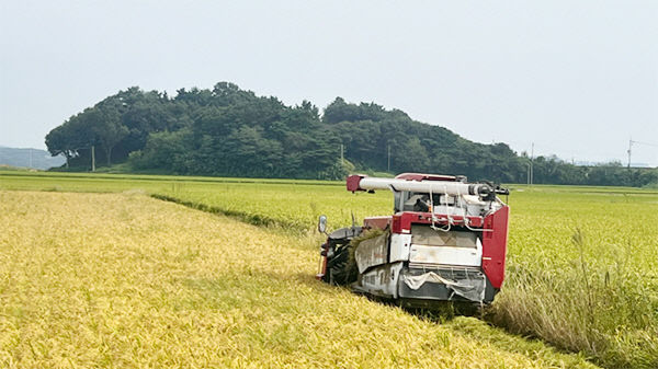 1. 올해 9월 대산읍 일원에서 농가가 추수하는 모습