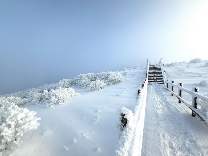 보도 1) 소백산 겨울(4)