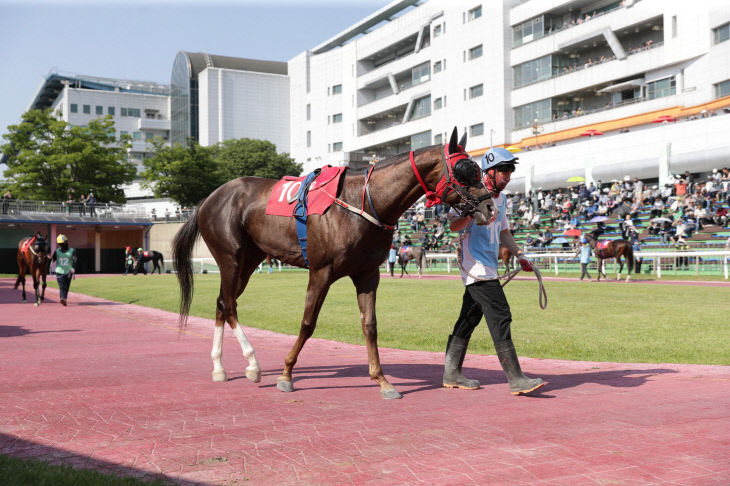 한국마사회, 와우와우
