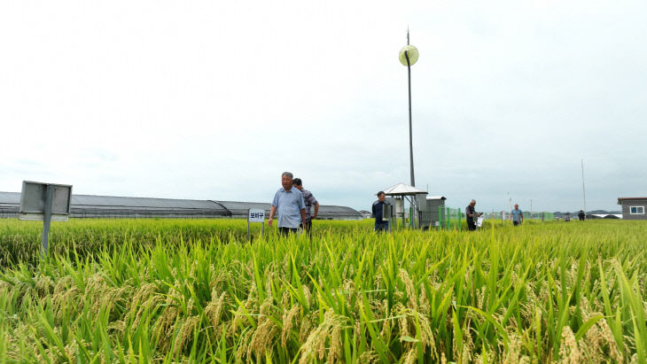 품질관리 우수 브랜드 쌀 시상식(4)