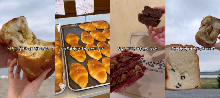 251125_오 (참고사진2)