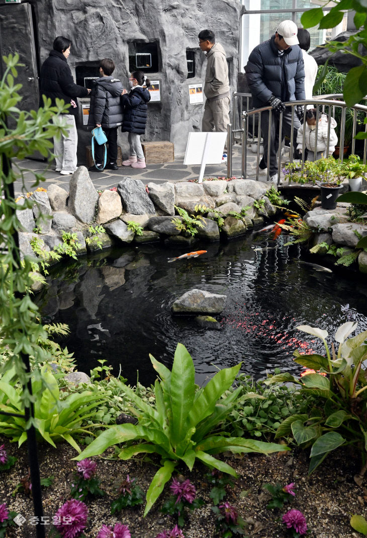 20251214-곤충생태관 휴일 나들이2