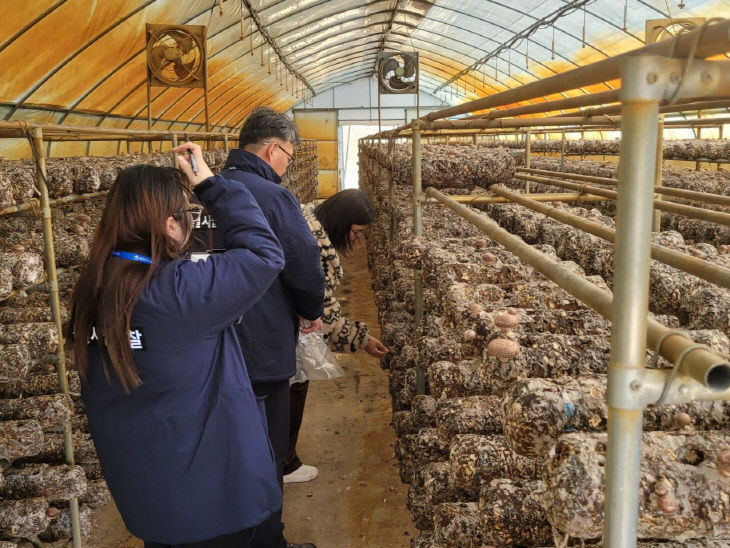 사진1_표고 생산농가 유통조사