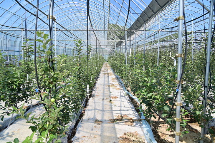 모사업 선정) (3)