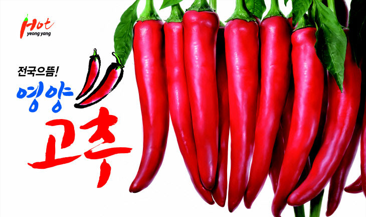 야립형 광고판 시안(2)