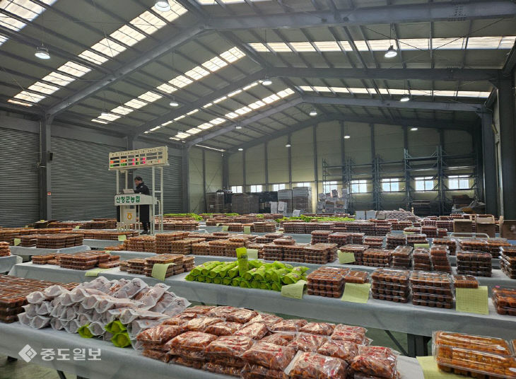 산청곶감 초매식