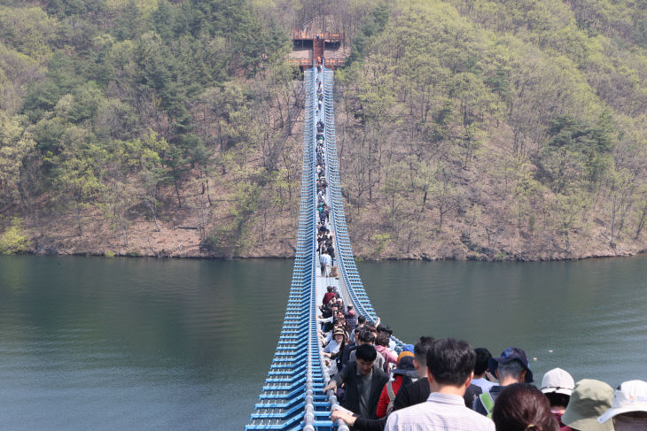 초평호 미르309 출렁다리 사진