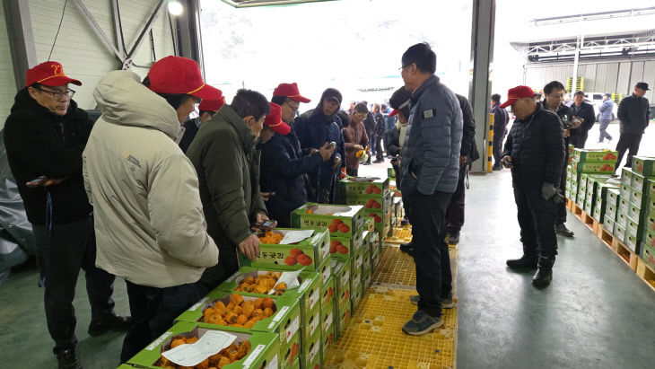 1. 감고을 영동 명품 곶감 출하요! (1)