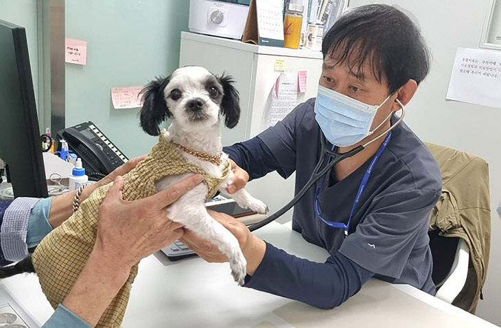 농업기술센터-성남시립동물병원에서 진료 중인 수의사