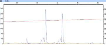 1.황새 개체의 유전자 표식(microsatellite) 분석 모습 (2)