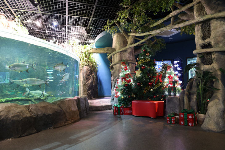 보도 1) 다누리아쿠아리움(3)