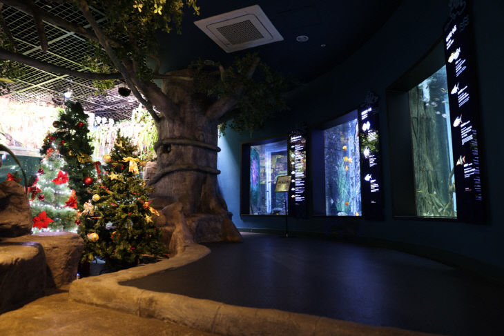 보도 1) 다누리아쿠아리움(2)