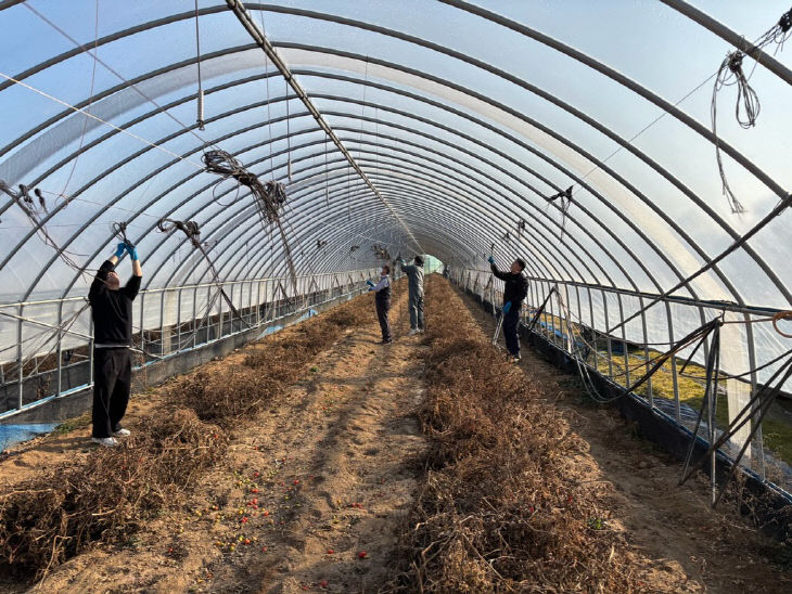 7_음성군 세정과, 화학사고 피해농가 농촌일손돕기(1)