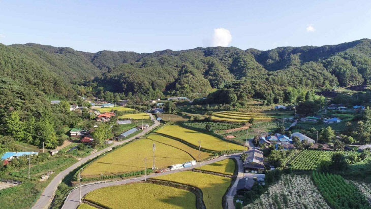 5.신양면 차동리 전경