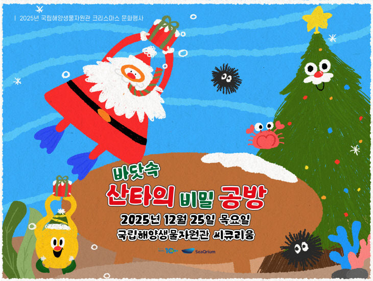 산타의 비밀공방 포스터