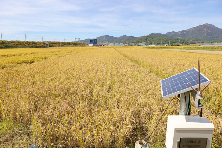 19-해남군 저탄소쌀 수확 및 현장평가회 (2)