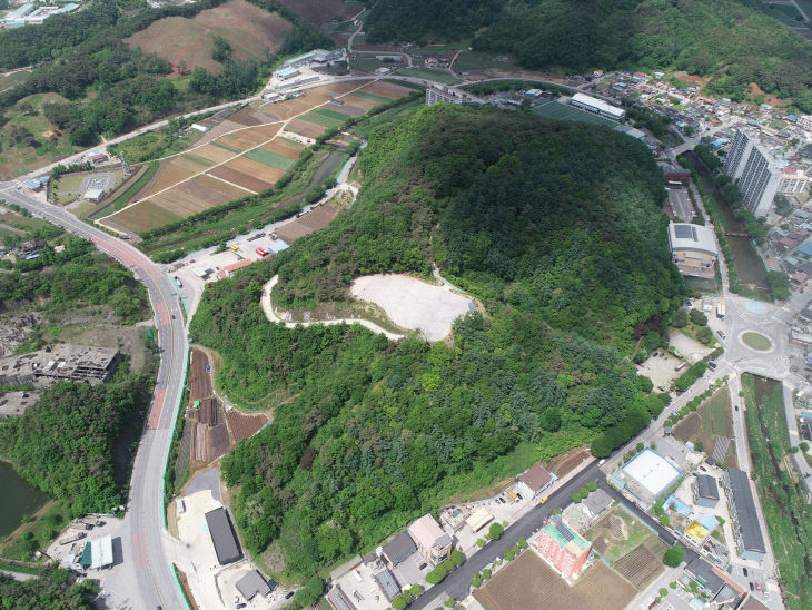 보도 1) 매포 매화공원 일원(1)