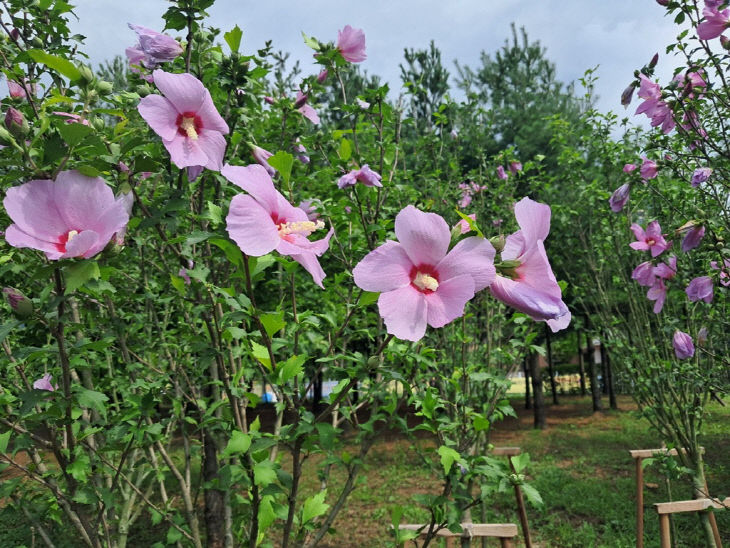[기획]의정부시, 우리동네 정책로드맵 ‘송산3동편’ 민락천변