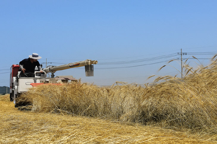 1. 이천시농업기술센터 2025년 농업기술보급혁신 우수사례