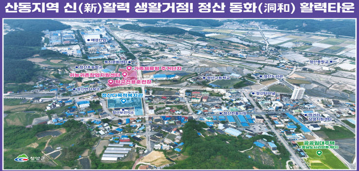 청양 정산동화활력타운