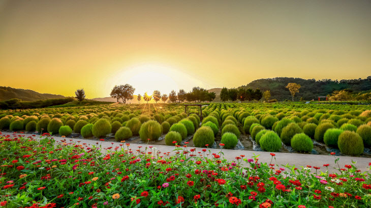 연천군  ‘접경지역 발전 유공’ 국무총리 표창 수상(임진강 댑
