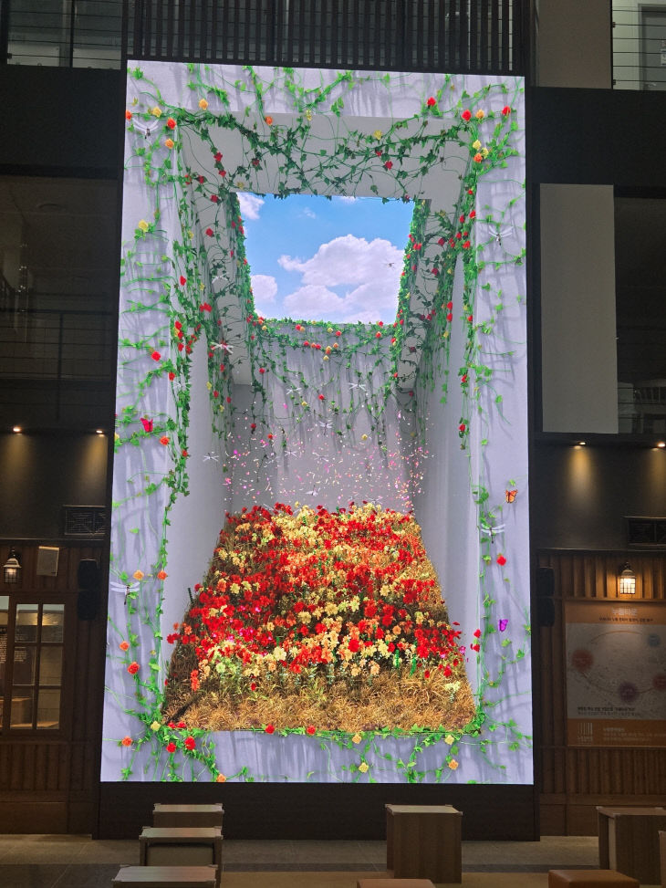 9-1 보도사진 (누들플랫폼 영상 콘텐츠)