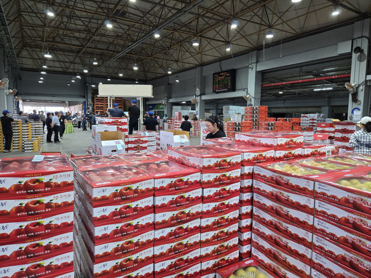 충주농수산물도매시장 청과동 경매장 사진.(충주시 제공)