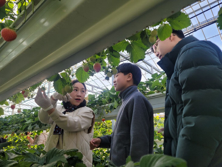 [괴산중] 딸기 따는 방법을 배우고 있는 학생들