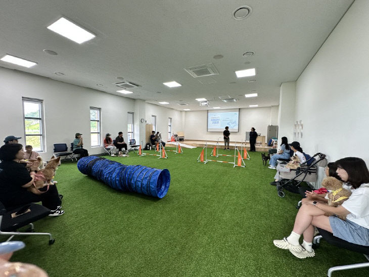 반려동물+문화교육