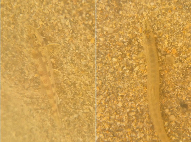 2024041201000962600036752