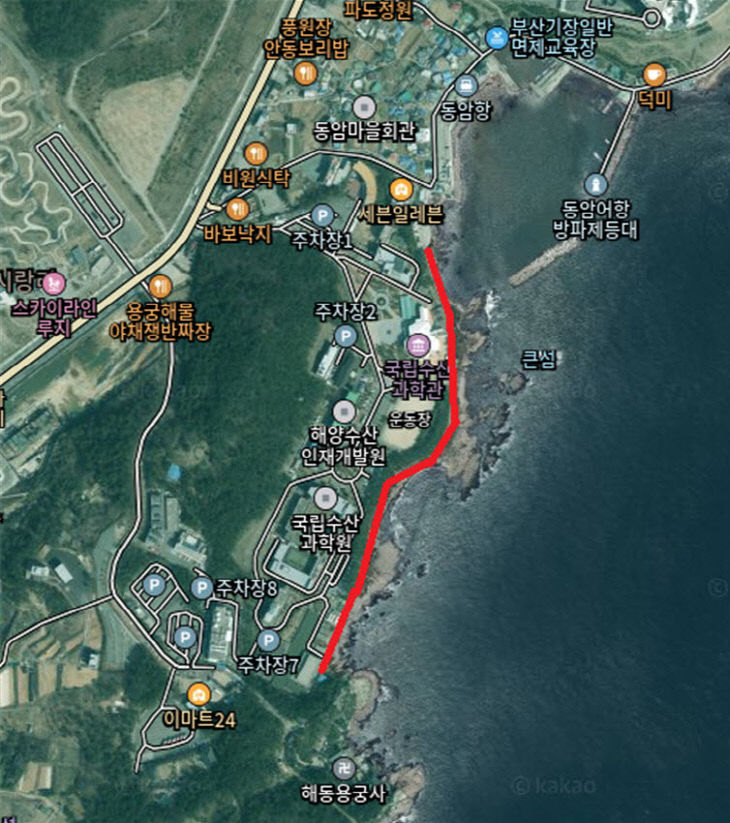 2-1.새해 해맞이 갈맷길 해안로 통제구간