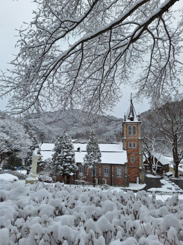 4. 2월의 아산 (2)