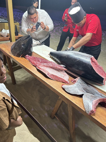 겨울을 벗어나 따뜻함으로2