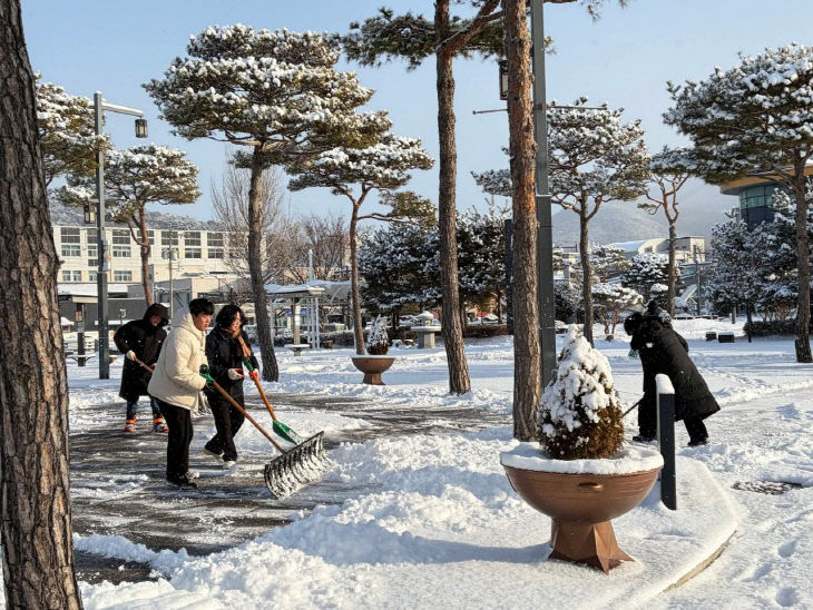 Resized_FB_IMG_1767387884324_321046758727425