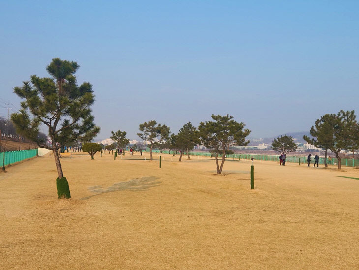 부터 파크골프장 시 직영 운영