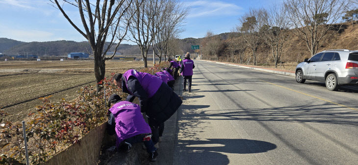 8.홍가시나무 월동 준비를 하는 대술면 주민자치위원회 위원들