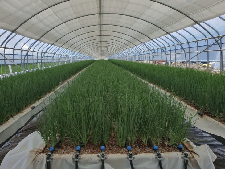 스마트농업분야 시범사업 추진(1)