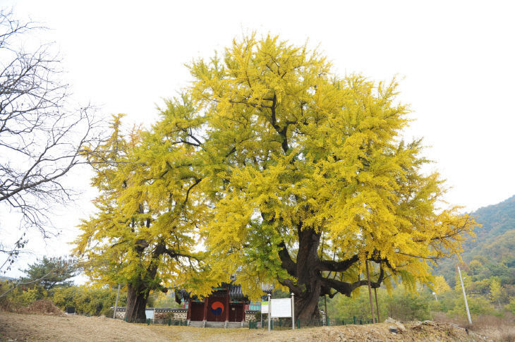 2024101901001199900049512