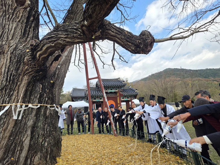 2025112101001838800078601