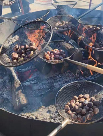 [3-1]장은숙 명예기자 사진2