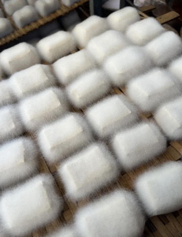 [3-7]사박 명예기자 사진